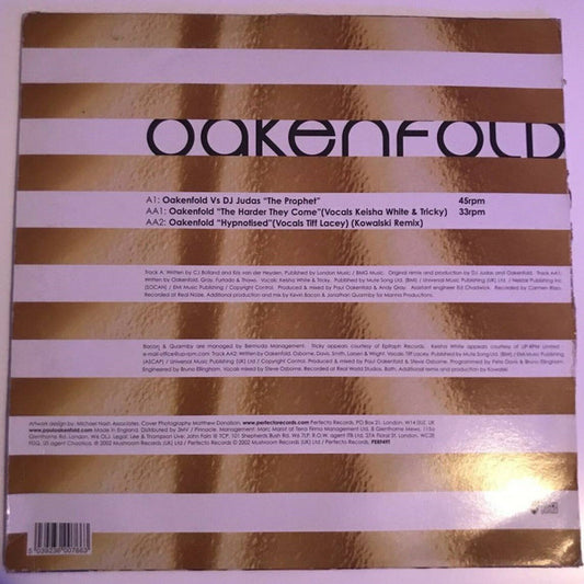 Paul Oakenfold : The Harder They Come (12")