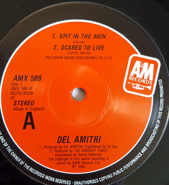 Del Amitri : Spit In The Rain (10" + Box, Ltd)