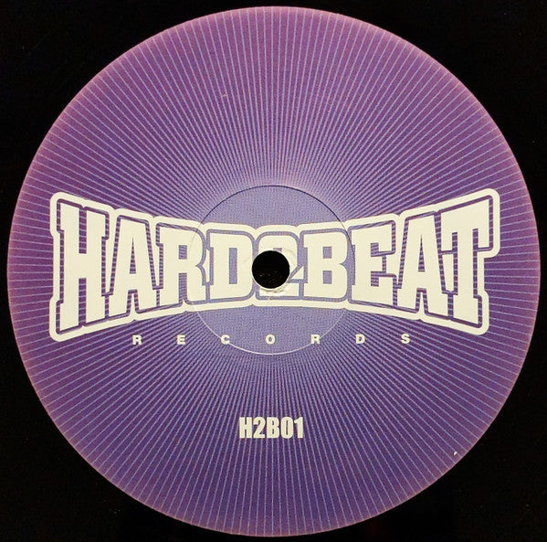 Basshunter : Now You're Gone (12")