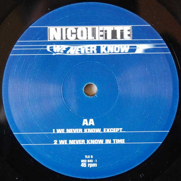 Nicolette : We Never Know (12")