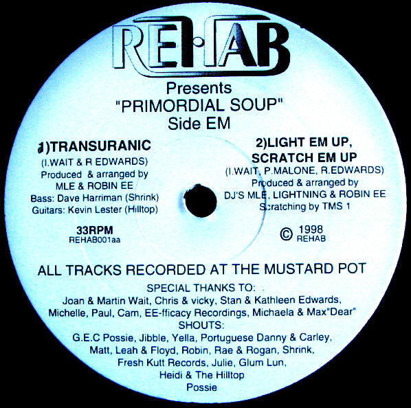 Various : The Primordial Soup (2x12")