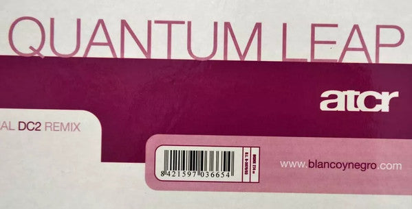 Luc Poublon : Quantum Leap (12")
