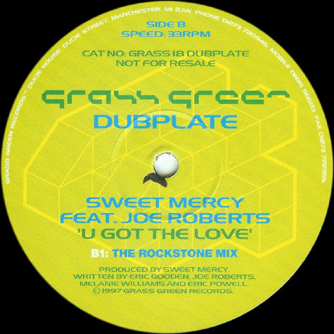 Sweet Mercy Feat. Joe Roberts : U Got The Love (12", Promo)