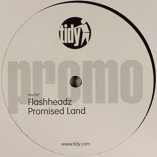 Flashheadz : Wizards Of The Sonic / Promised Land (12", Promo)