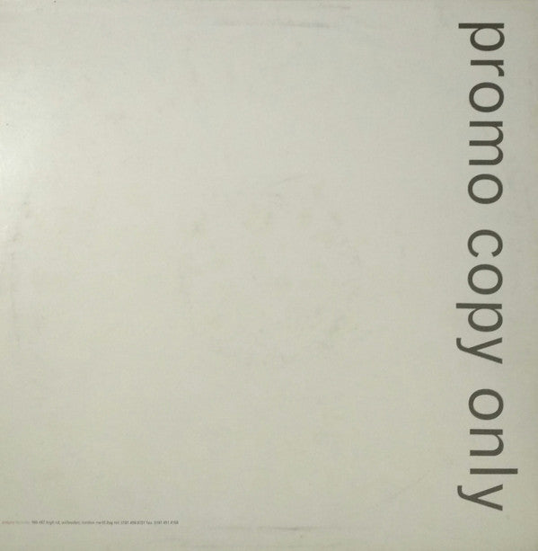 Bass Jumpers : Make Up Your Mind (12", Promo)