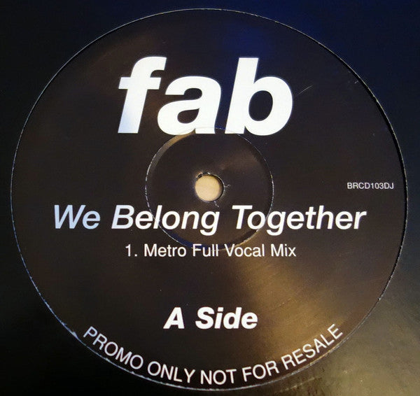 Fab! : We Belong Together (12", Promo)