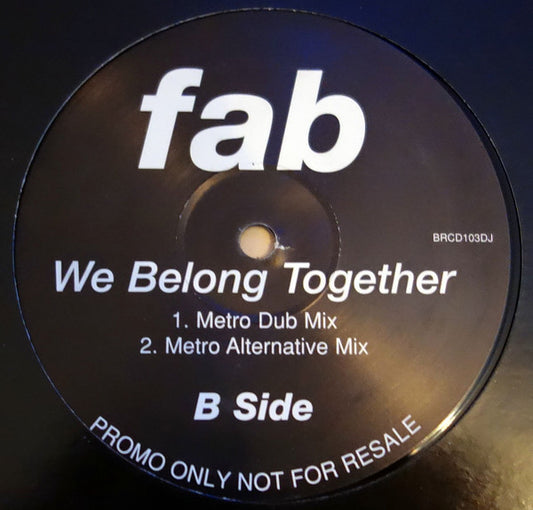 Fab! : We Belong Together (12", Promo)