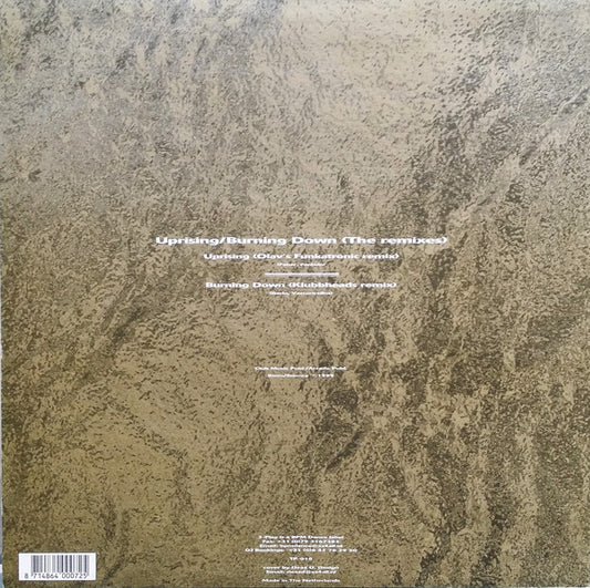Silvio Ecomo / D-Tune (3) : Uprising/Burning Down (The Remixes) (12")