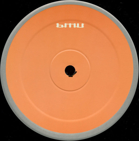 The Resonant Interval : The Resonant Interval (12")