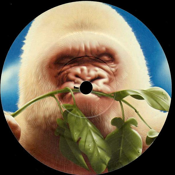 Basement Jaxx : Rooty (2xLP, Album)