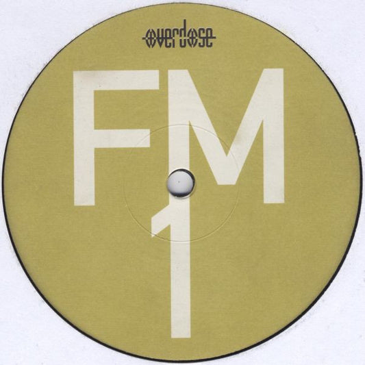 DJ Scot Project : FM (Feelin' Me) (12")