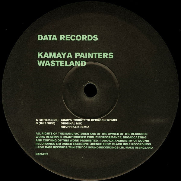 Kamaya Painters : Wasteland (12")