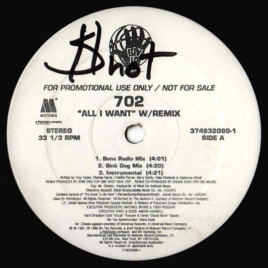 702 : All I Want W/ Remix (12", Promo)