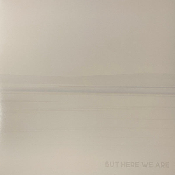 Foo Fighters : But Here We Are (LP, Album)