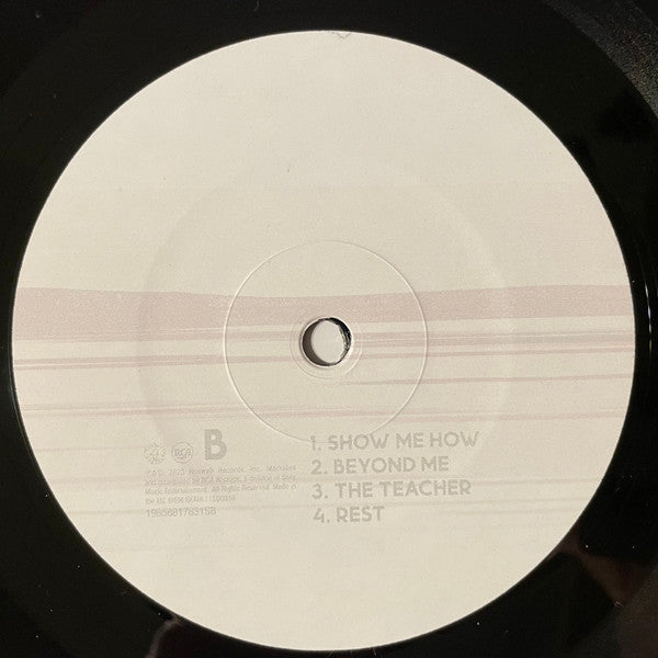 Foo Fighters : But Here We Are (LP, Album)