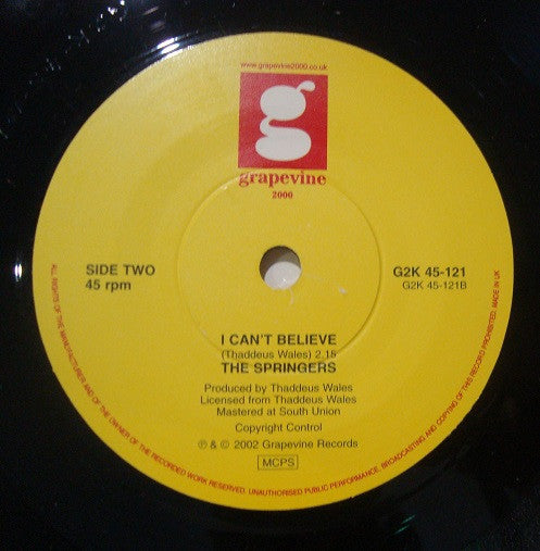 The Springers : Nothing's Too Good For My Baby (7")