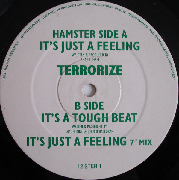 Terrorize : It's Just A Feeling (12")