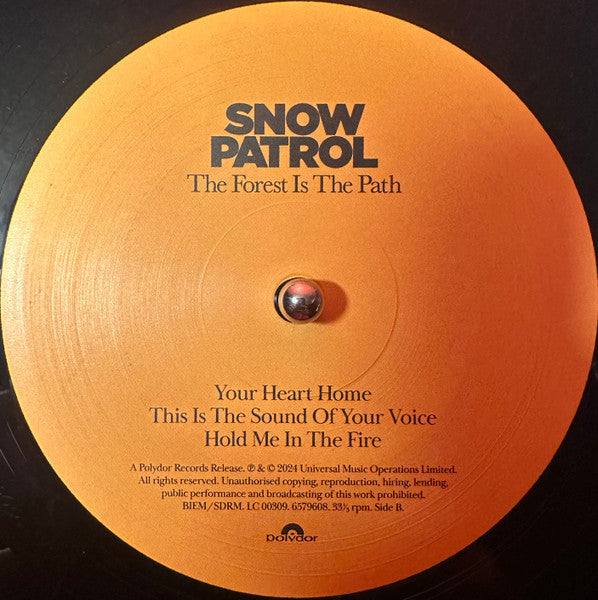Snow Patrol : The Forest Is The Path (2xLP, Album)