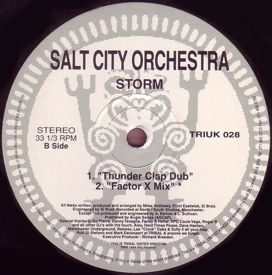 Salt City Orchestra : Storm (12")