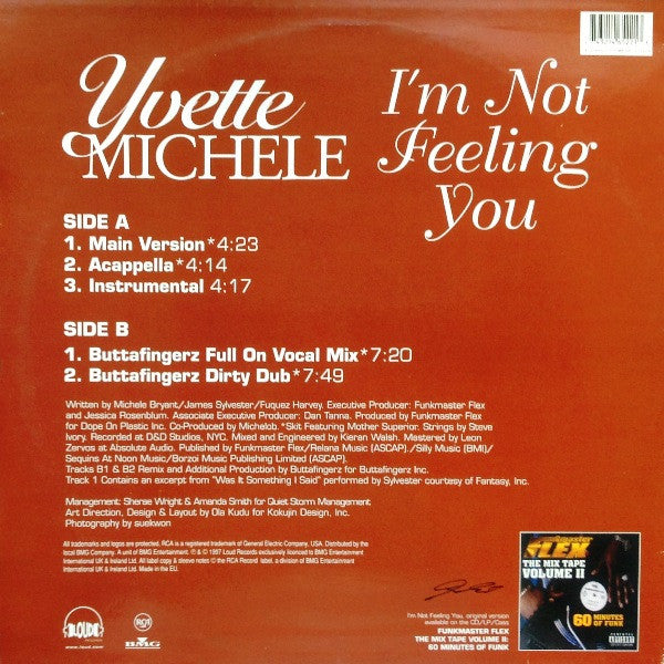 Yvette Michele : I'm Not Feeling You (12")