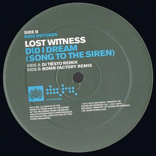 Lost Witness : Did I Dream (Song To The Siren) (12")