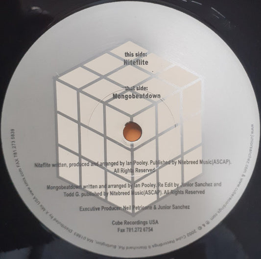 Ian Pooley : Niteflite / Mongobeatdown (12")