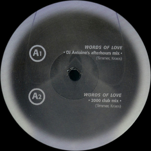 DJ Stephen : Words Of Love (12")