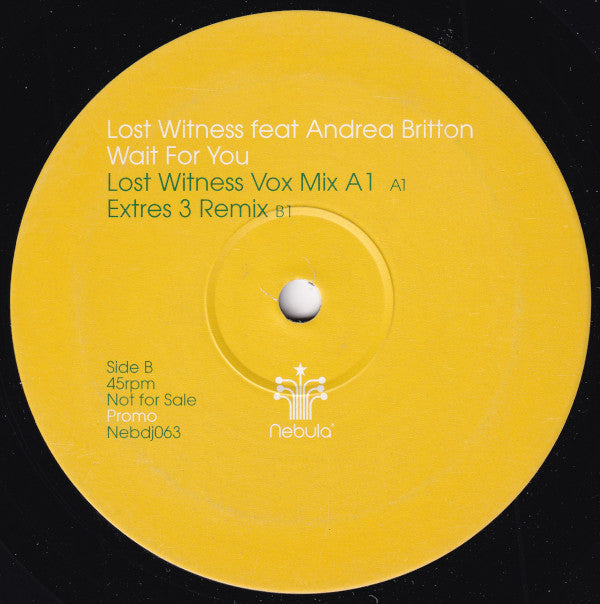 Lost Witness Feat Andrea Britton : Wait For You (12", Promo)