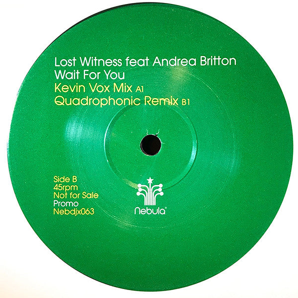 Lost Witness Feat Andrea Britton : Wait For You (12", Promo)