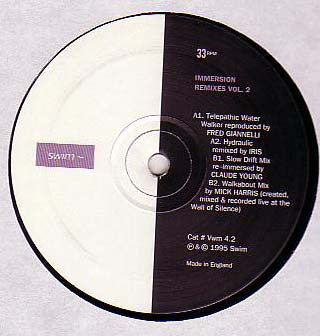 Immersion (2) : Remixes Vol. 2 (12")