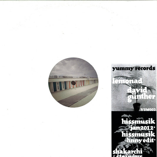 David Günther / Shakarchi & Stranéus : Lemonad / Hissmusik (12")