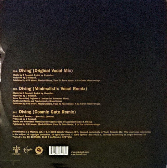 4 Strings : Diving (12", Bro)