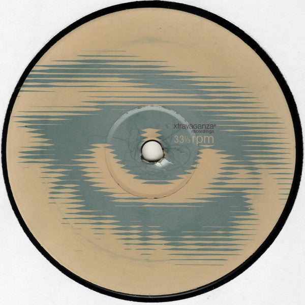 The Mystery : Devotion (12", Promo)