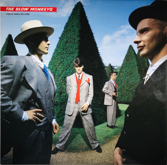 The Blow Monkeys : This Is Your Life Long (12")