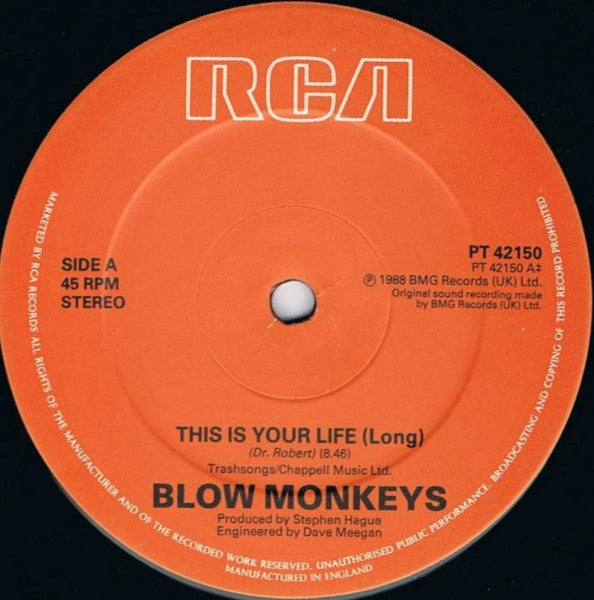 The Blow Monkeys : This Is Your Life Long (12")