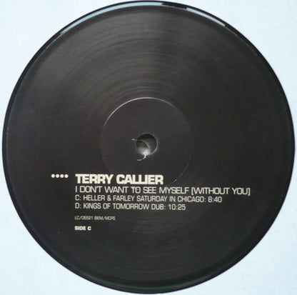 Terry Callier : I Don't Want To See Myself (Without You) (2x12", Promo)