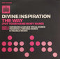 Divine Inspiration : The Way (Put Your Hand In My Hand) (12")