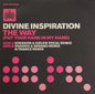 Divine Inspiration : The Way (Put Your Hand In My Hand) (12")