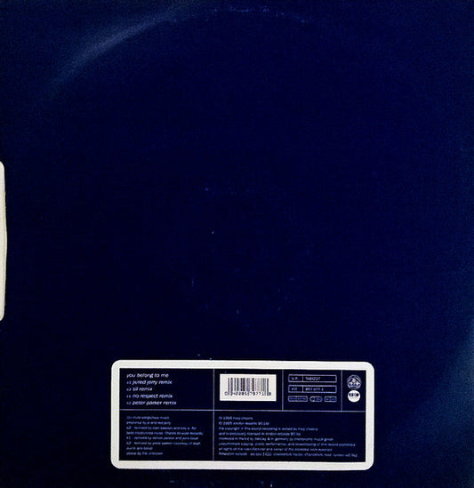 JX : You Belong To Me (12", Single)