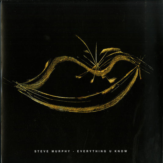 Steve Murphy (12) : Everything U Know EP (12")