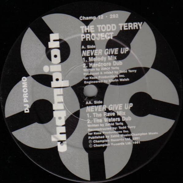 The Todd Terry Project : Never Give Up (12", Promo)