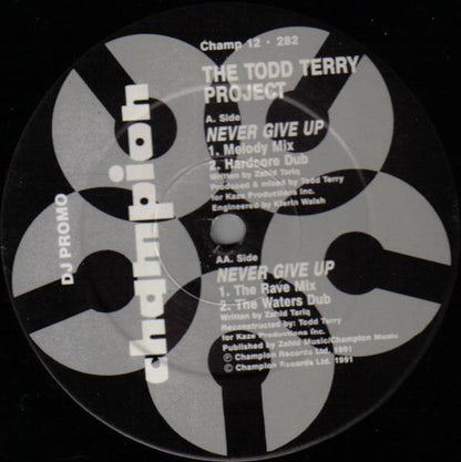 The Todd Terry Project : Never Give Up (12", Promo)