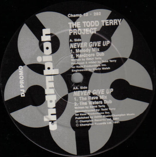 The Todd Terry Project : Never Give Up (12", Promo)