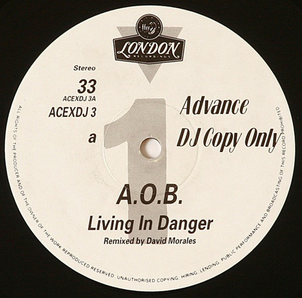 A.O.B.* : Living In Danger (12", S/Sided, Promo)