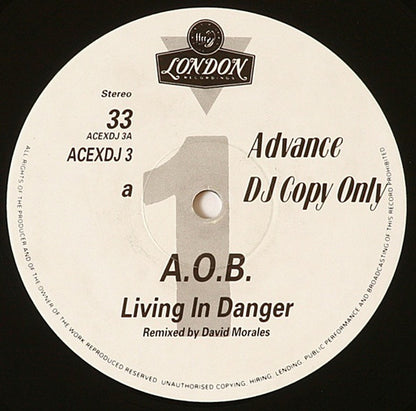 A.O.B.* : Living In Danger (12", S/Sided, Promo)