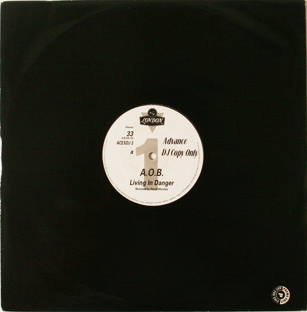 A.O.B.* : Living In Danger (12", S/Sided, Promo)