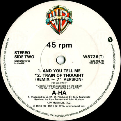 a-ha : Train Of Thought (12", Single, Dam)