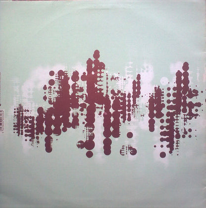 The Fire This Time : Reluctant Warrior (12")