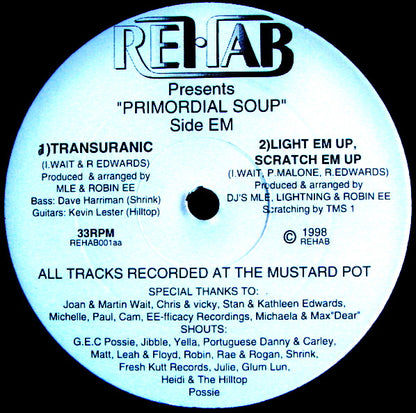 Various : The Primordial Soup (2x12")
