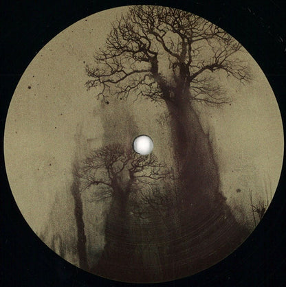 Tuvaband Vs Butch : Trees (12")
